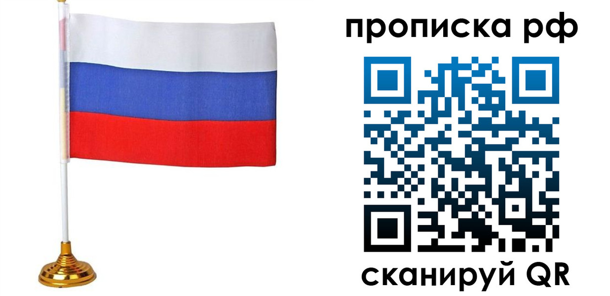 прописка для школы в Звенигово